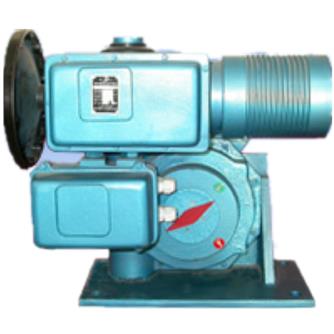 BS-60/K30H伯纳德电动执行器