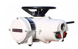 5 IQ多回转执行器IQ18