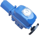 ASP-3