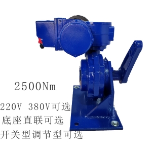 1 角行程电动执行器B+RS250/K40H