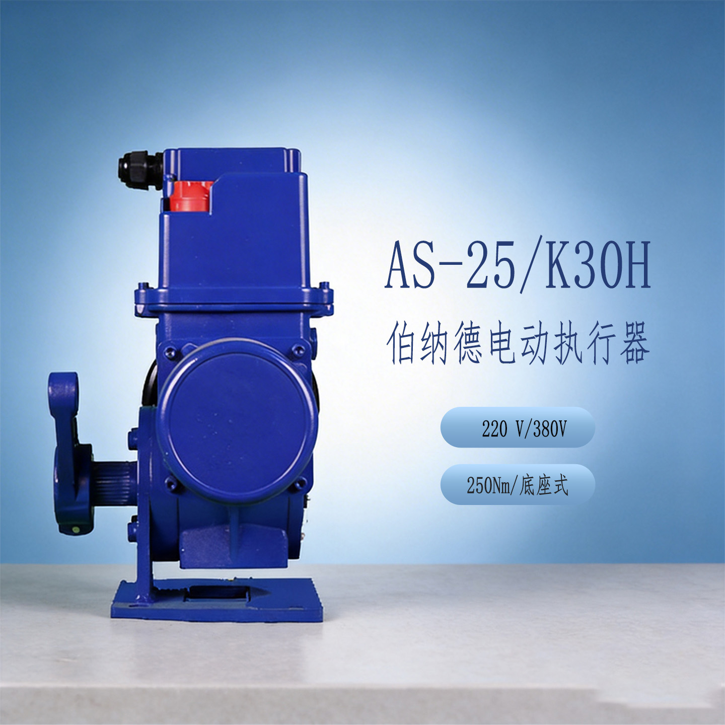 AS---25/K30H