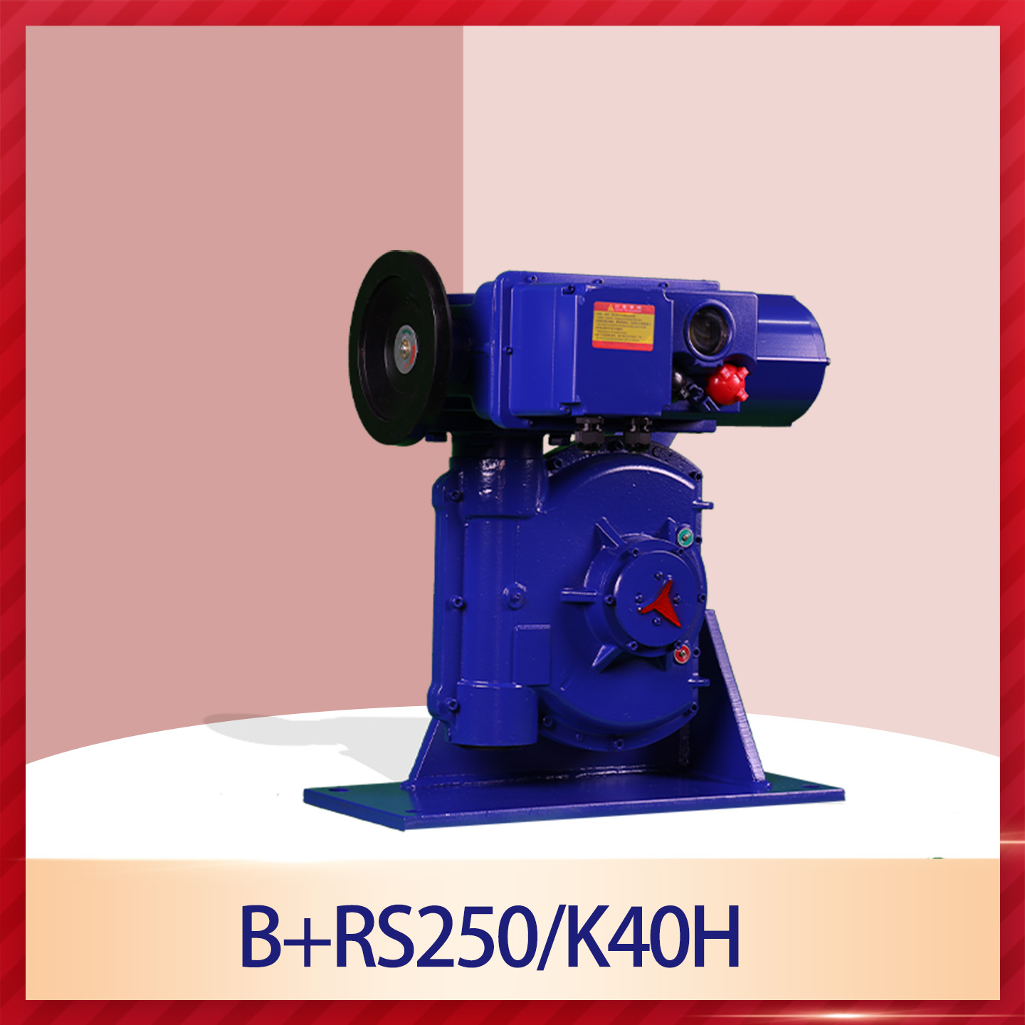 B+RS250/F40H