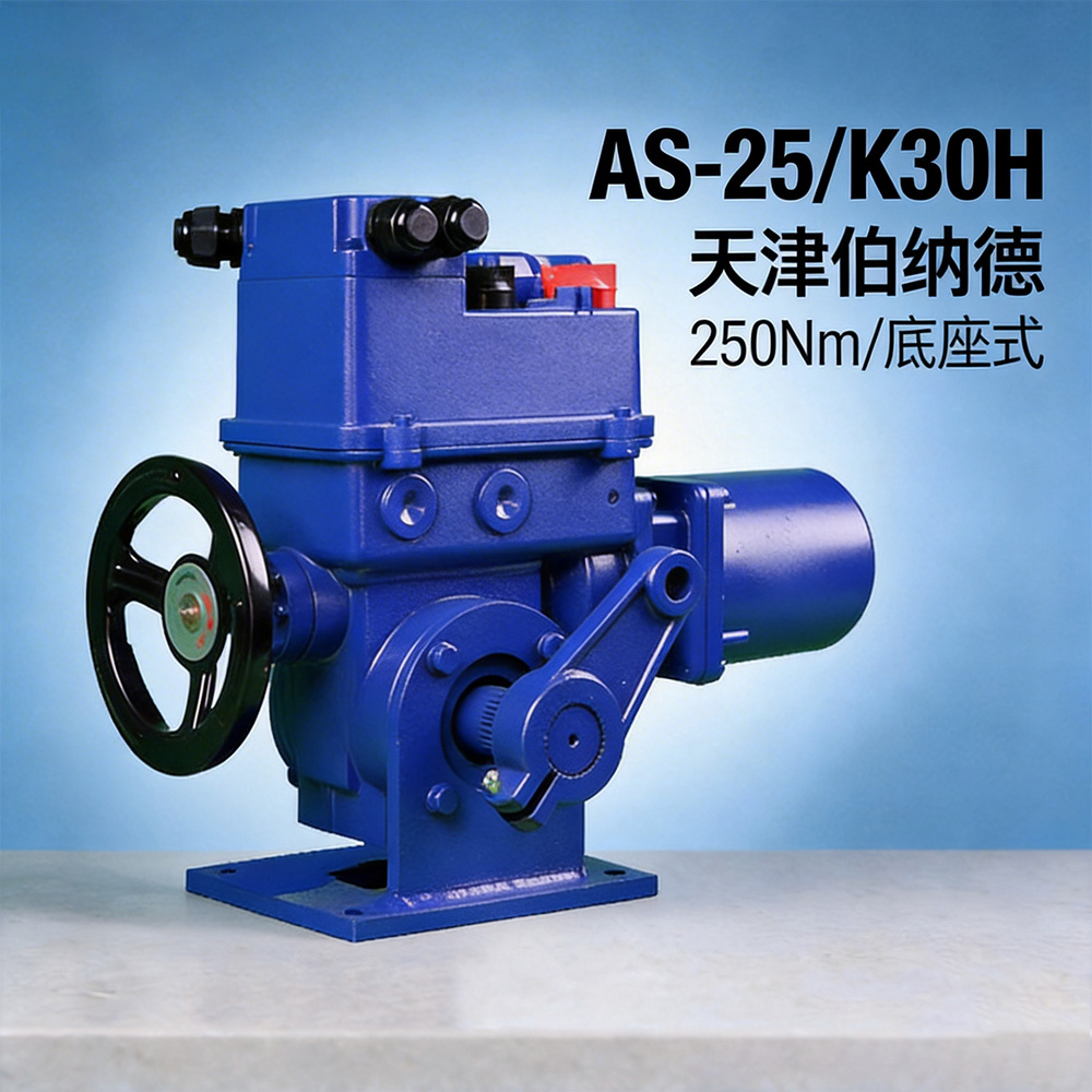 伯纳德AS-25/K30H角行程电动执行机构