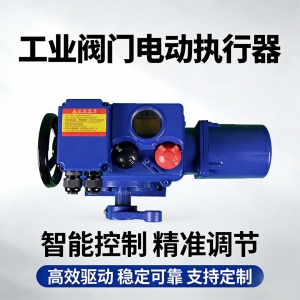 6 250Nm电动执行器