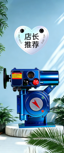 100 A+RS100/K30H