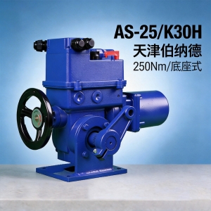5 伯纳德AS-25/K30H角行程电动执行机构