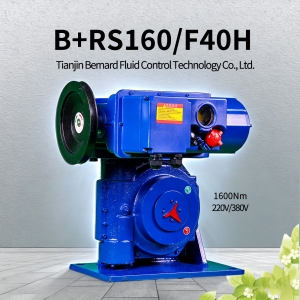 2 1600Nm角行程电动执行器